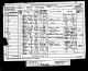 1881 England Census(7).jpg