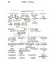 Warren - Christ College Bio.jpg Warren - Christ College Bio.jpg